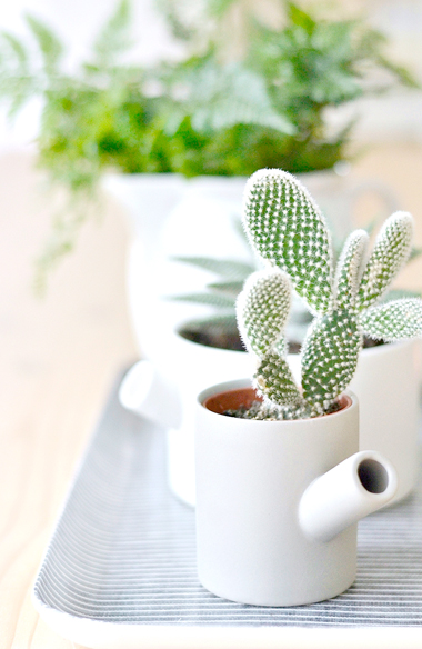 bg image description